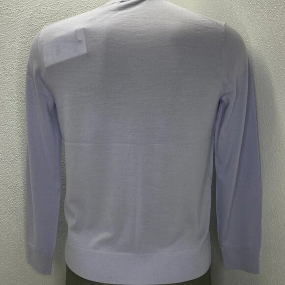 NEW THEORY Mens Sweater Ice Blue Size S Crewneck Regal Wool Long Sleeve Pullover - Picture 8 of 11